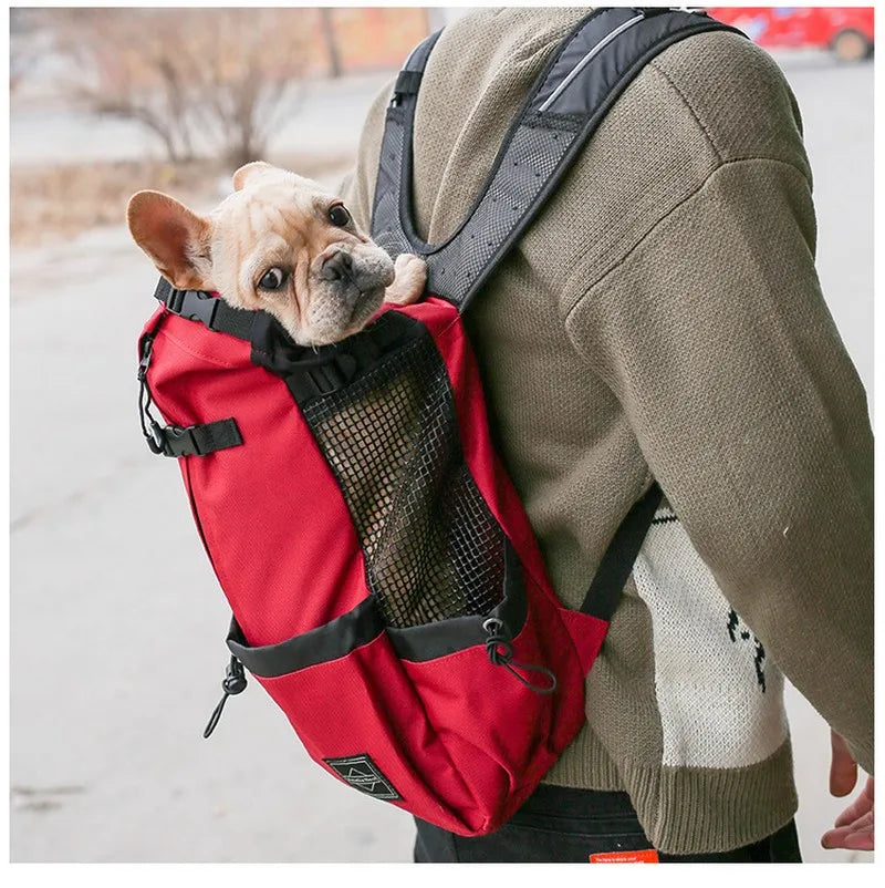 Sac a dos moto pour chiot