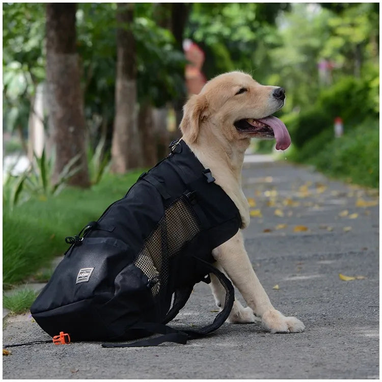 Sac a dos moto pour chiot