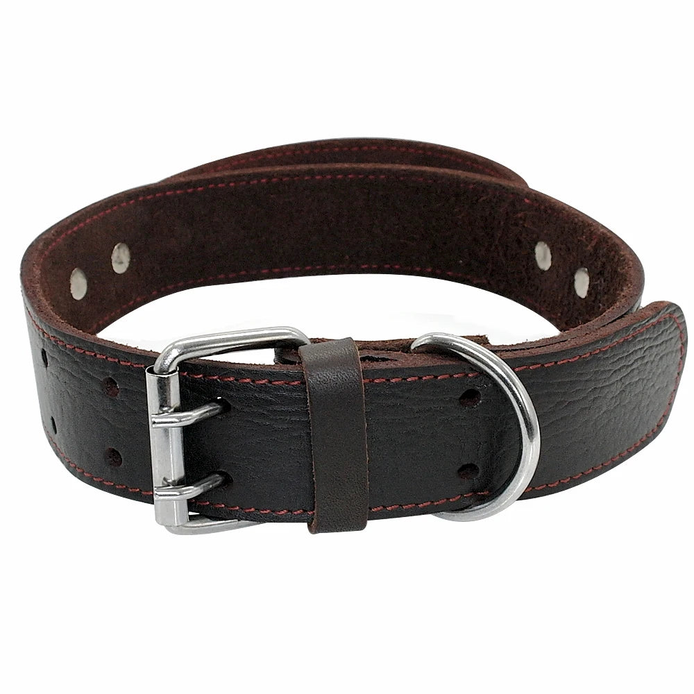 Collier chien cuir avec poignée