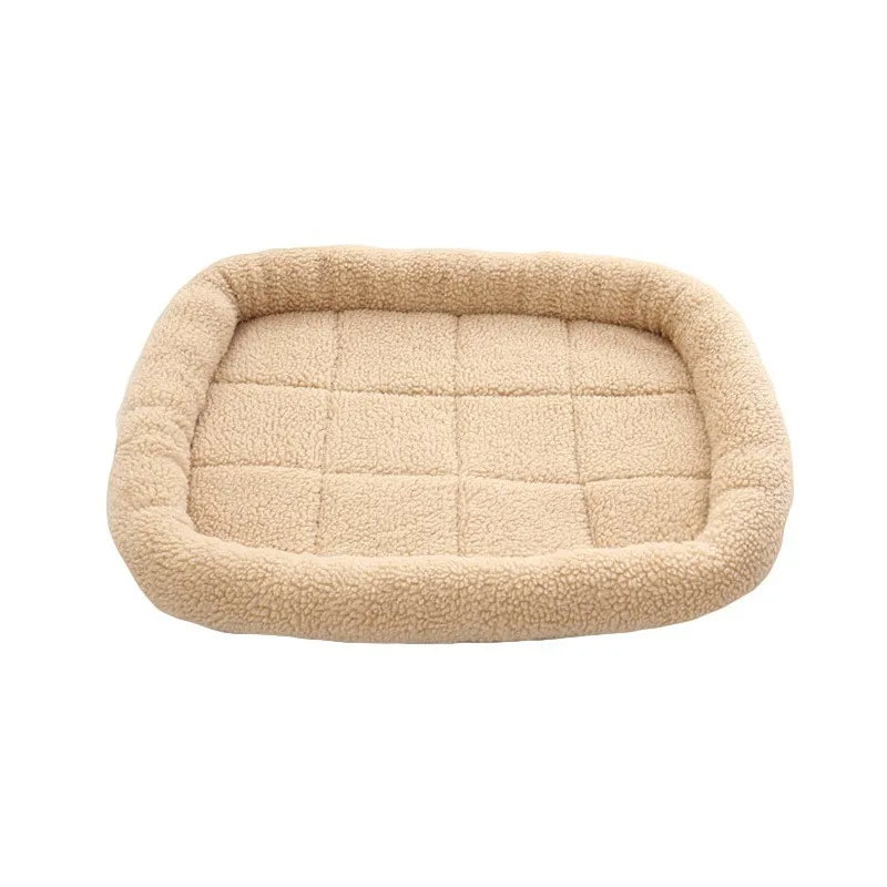 Coussin chien beige
