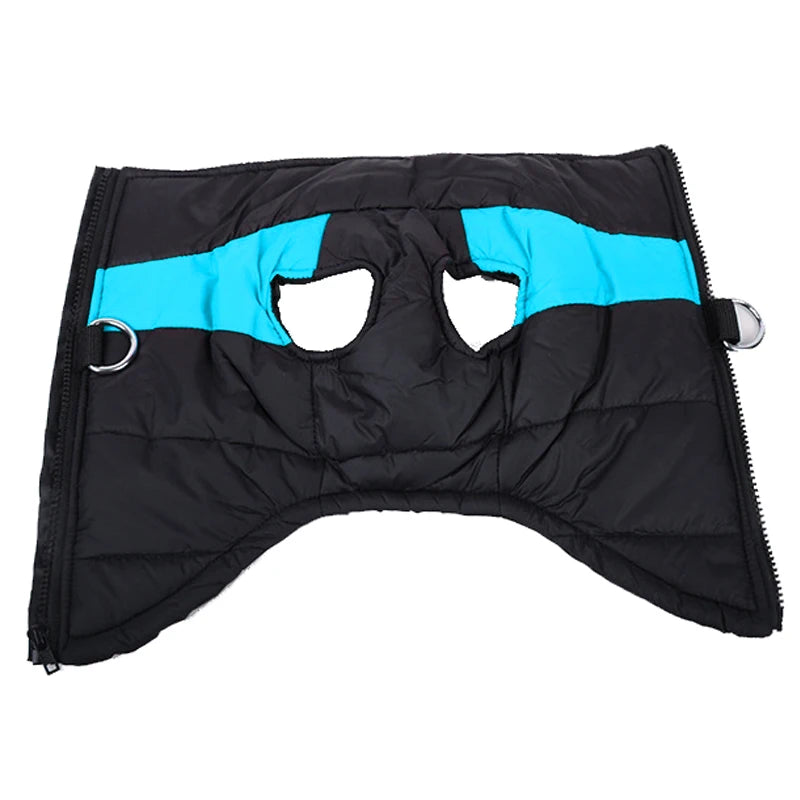 Doudoune bicolore chien