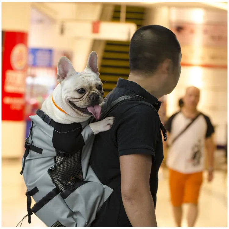 Sac a dos moto pour chiot