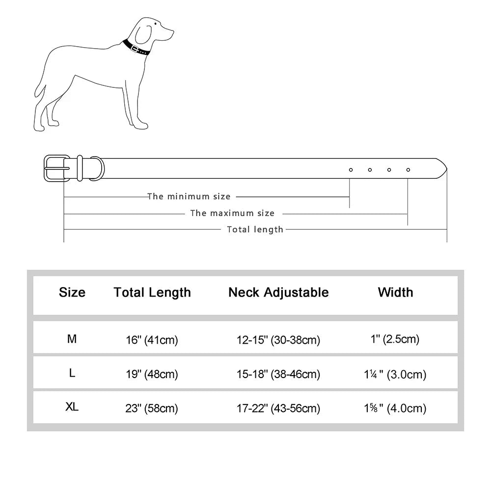 Collier chien cuir haut de gamme