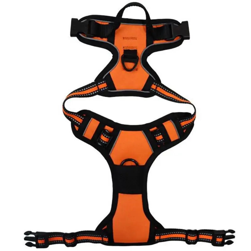 Harnais chien sport