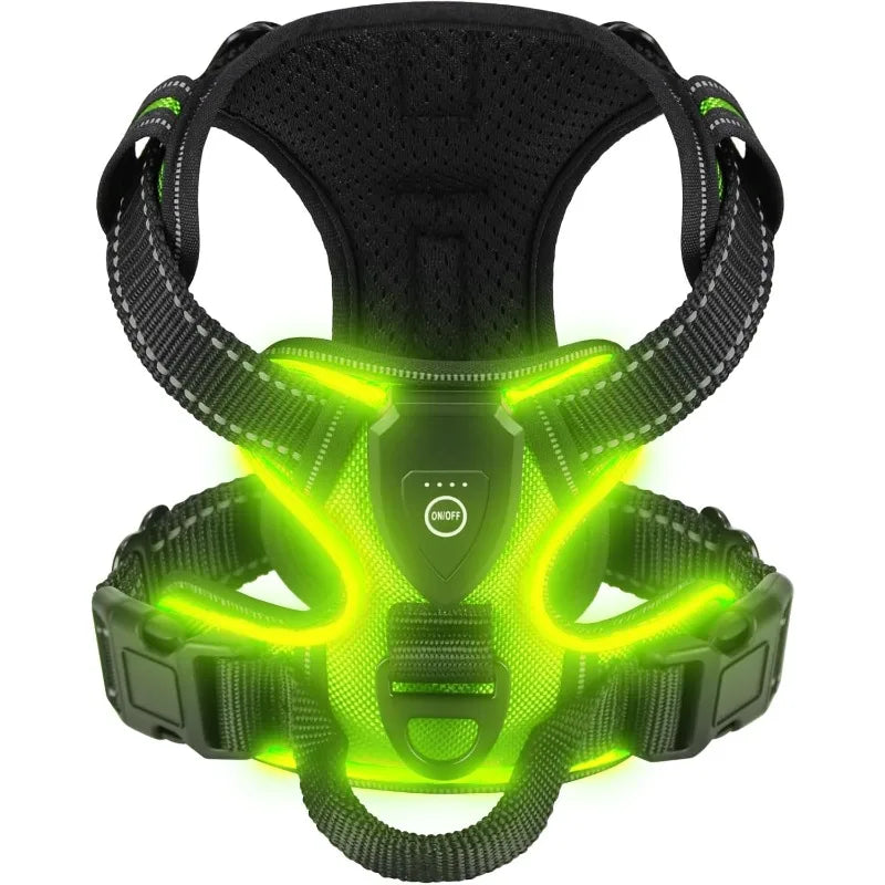 Harnais lumineux chien