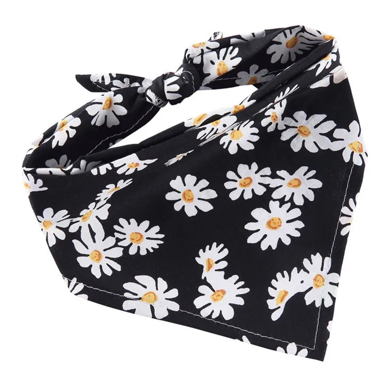 Bandana chien berger australien