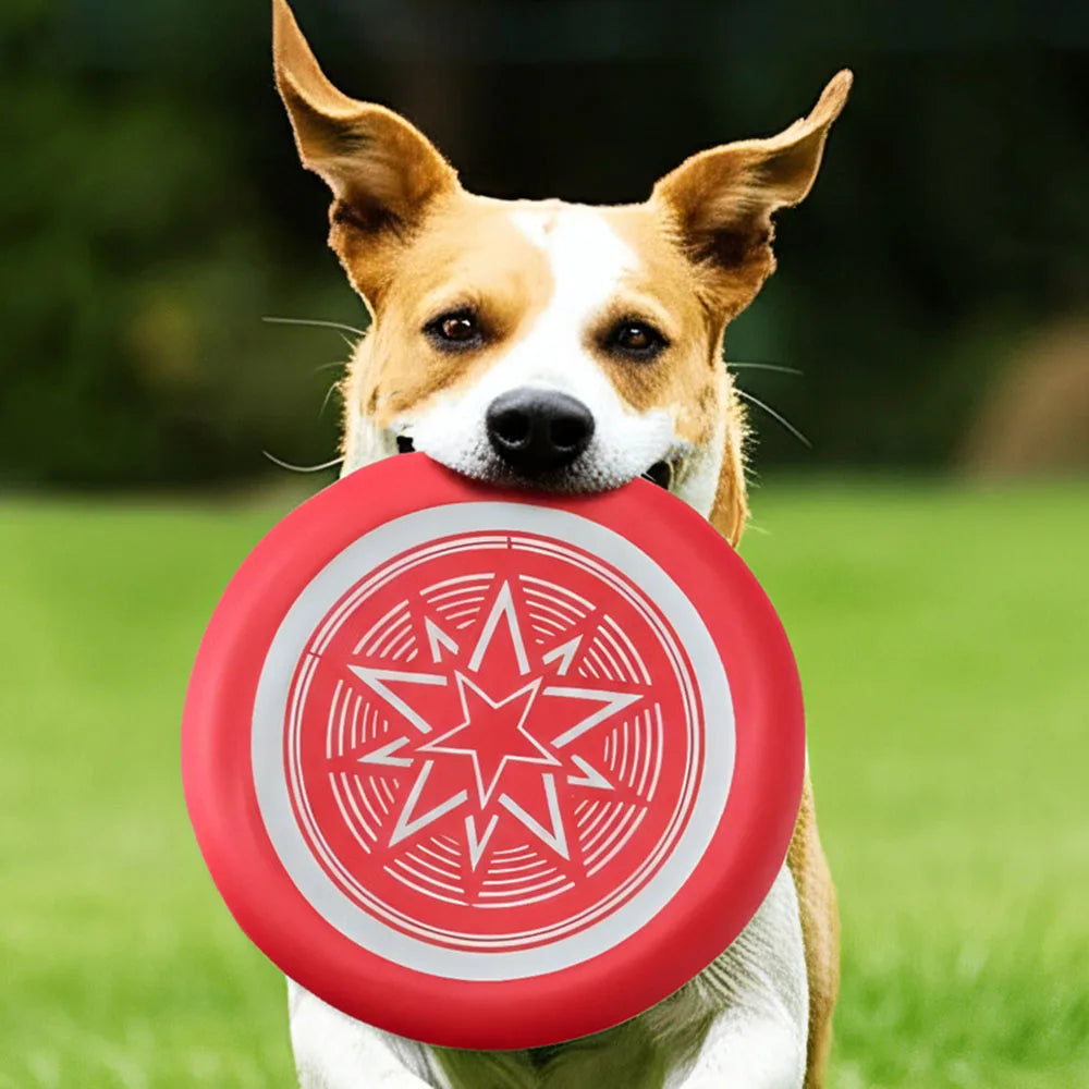 Frisbee flexible pour chien