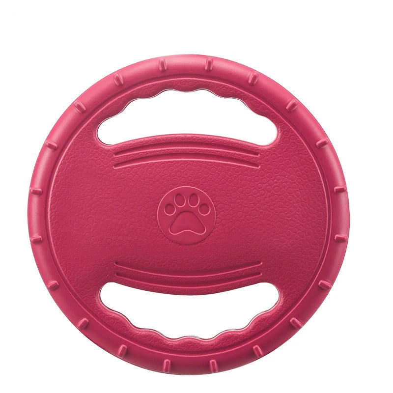 Frisbee chien plage
