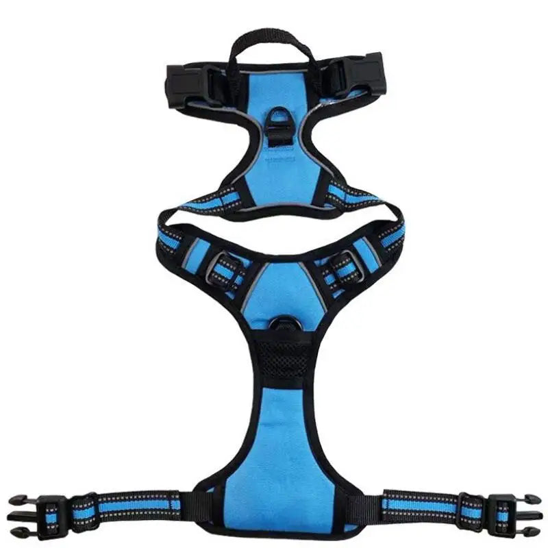 Harnais chien sport