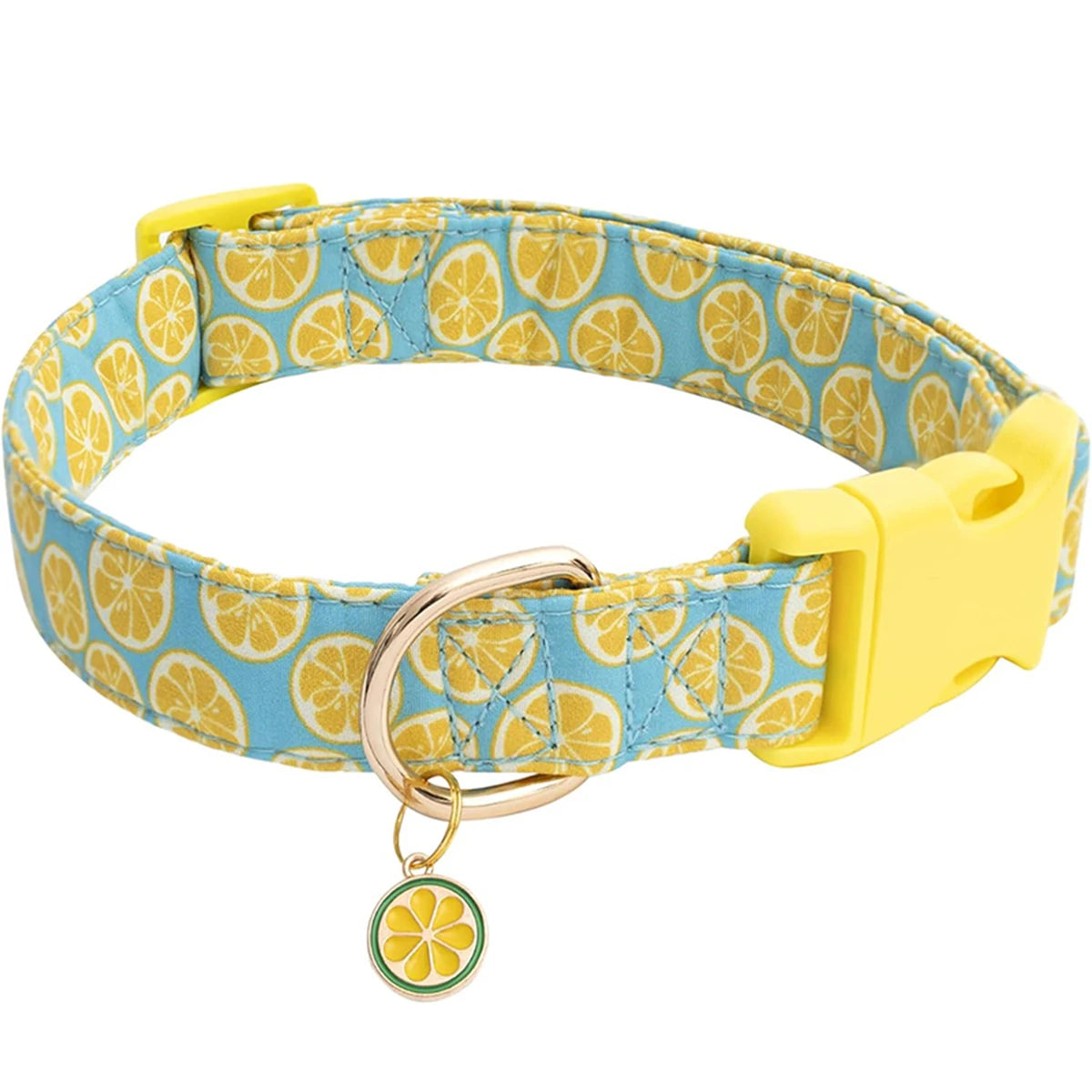 Collier chiot bouledogue francais