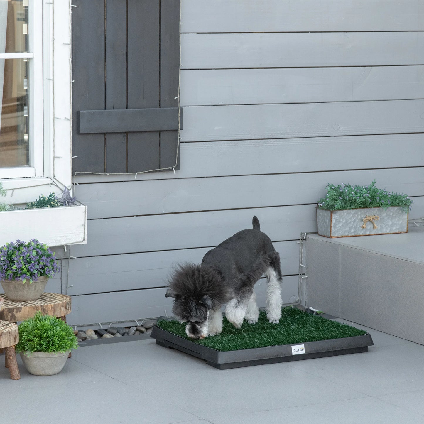 Litière pour chien balcon