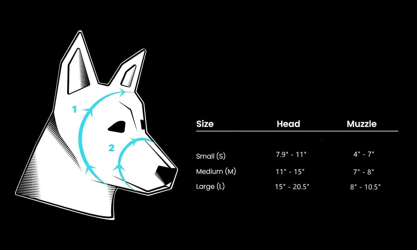 Lunettes de protection pour chien