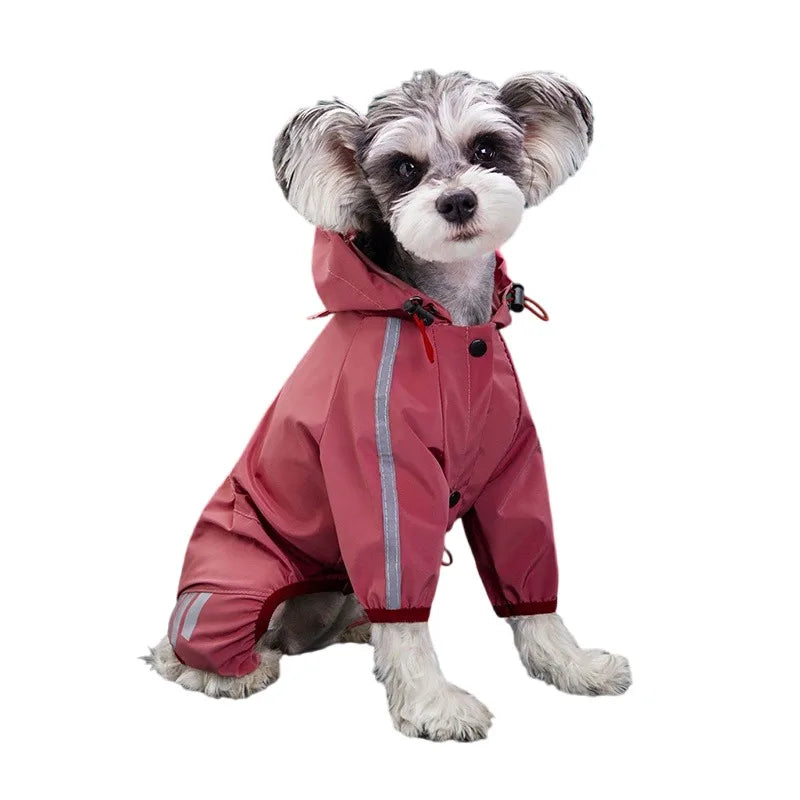 Combinaison imperméable chien