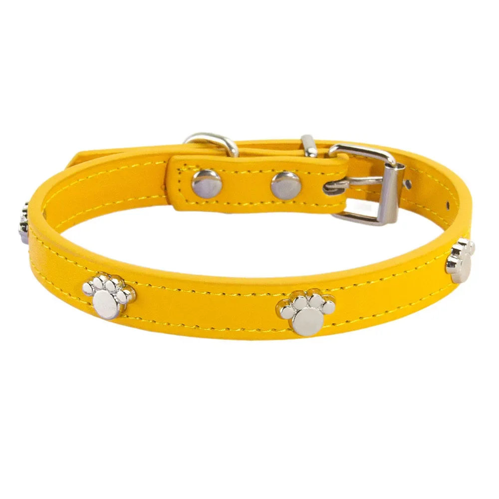 Collier chiot 4 mois