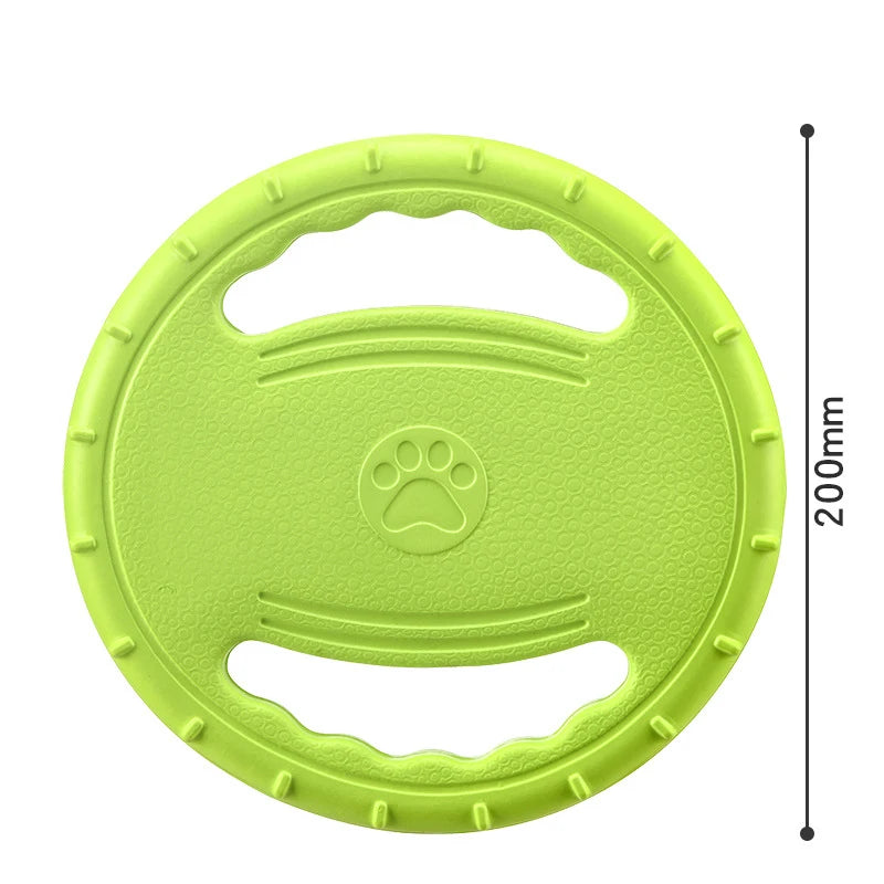 Frisbee chien plage