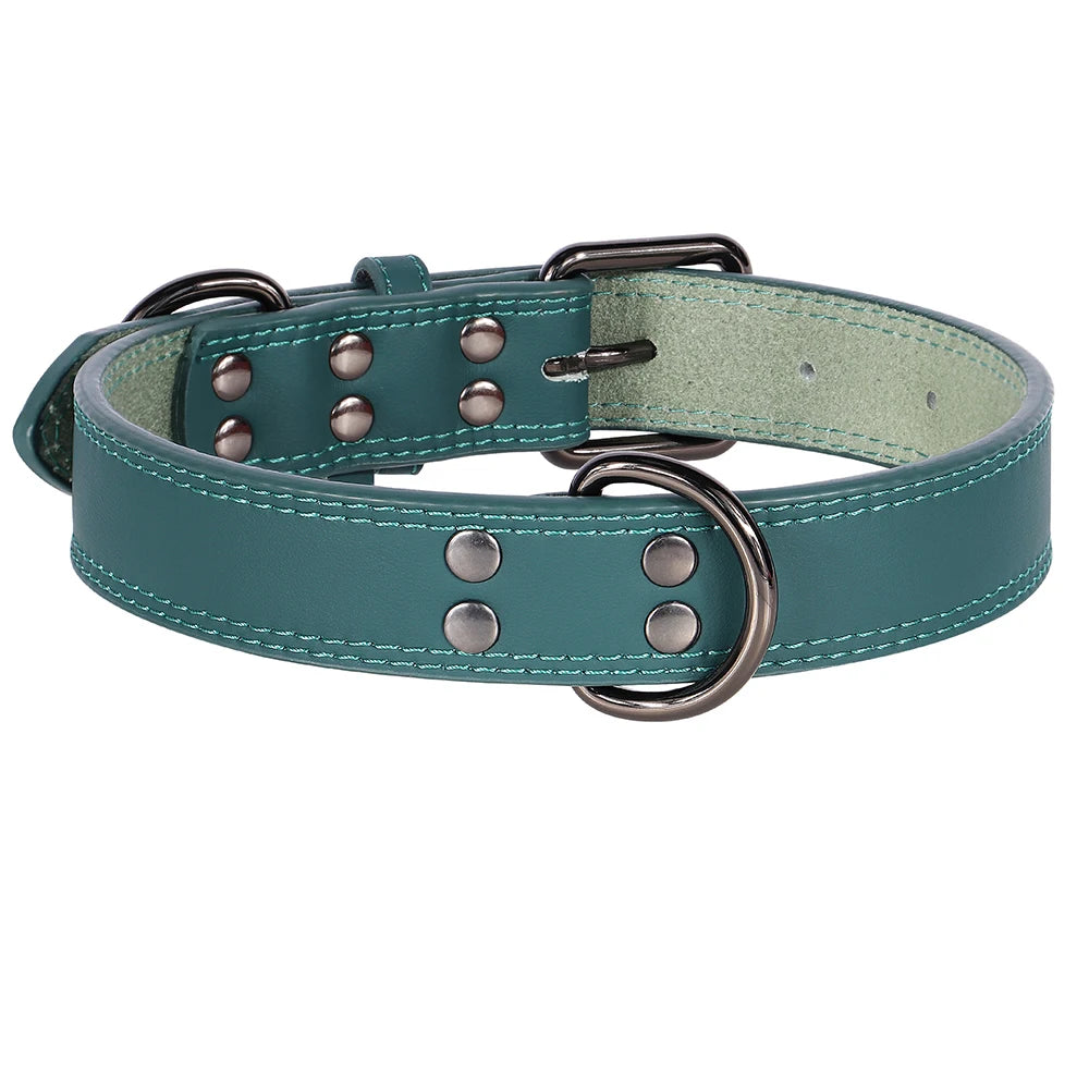 Collier chien cuir vert