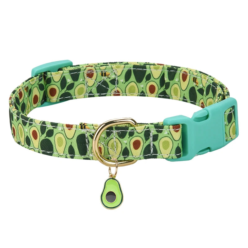 Collier chiot husky
