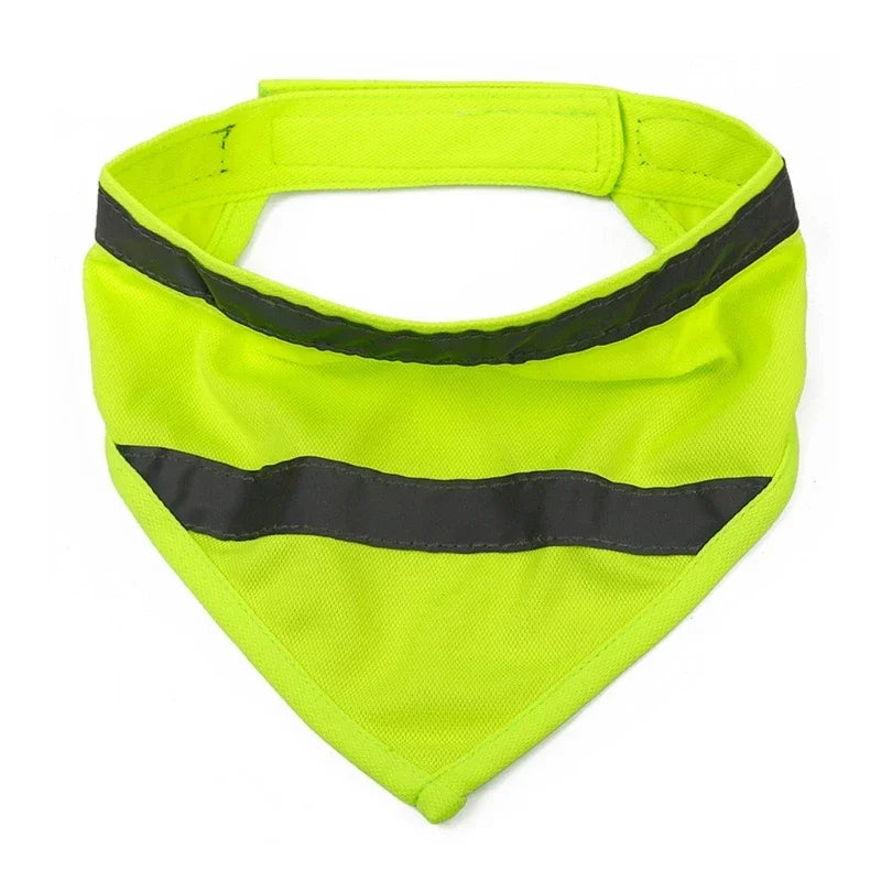Bandana rafraichissant chien