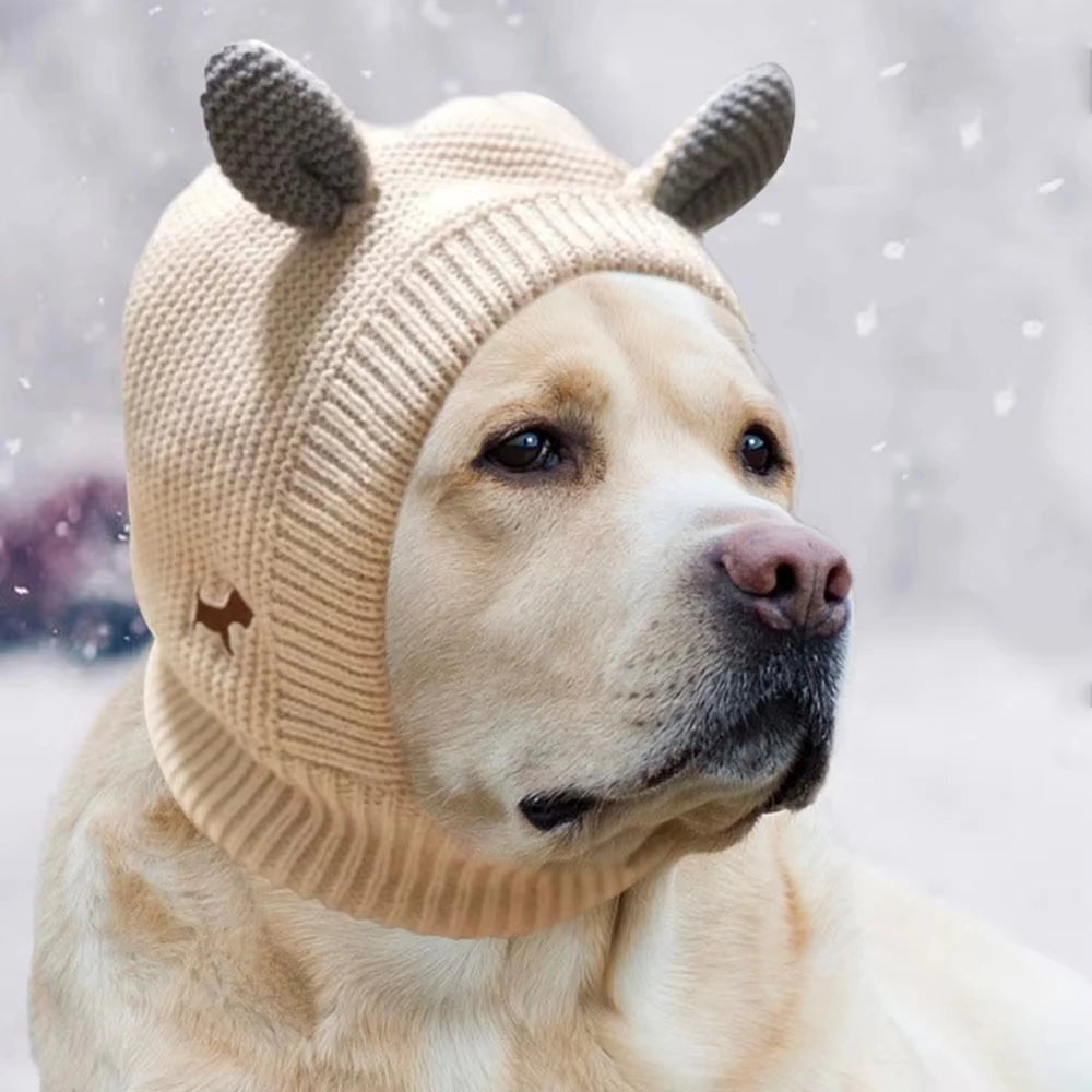 Bonnet chien kawaii