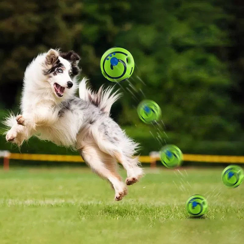 Balle sonore chien