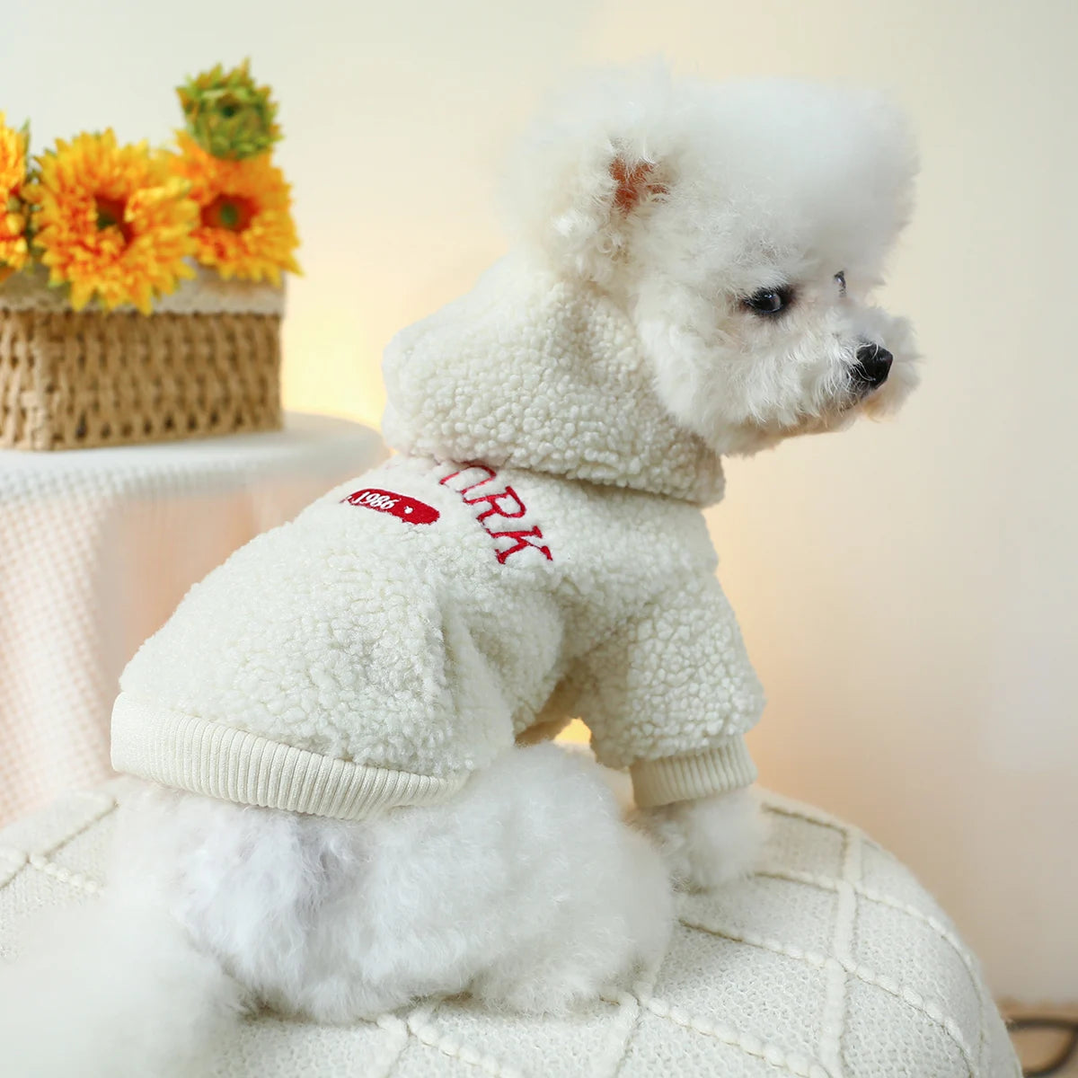 Sweat chien