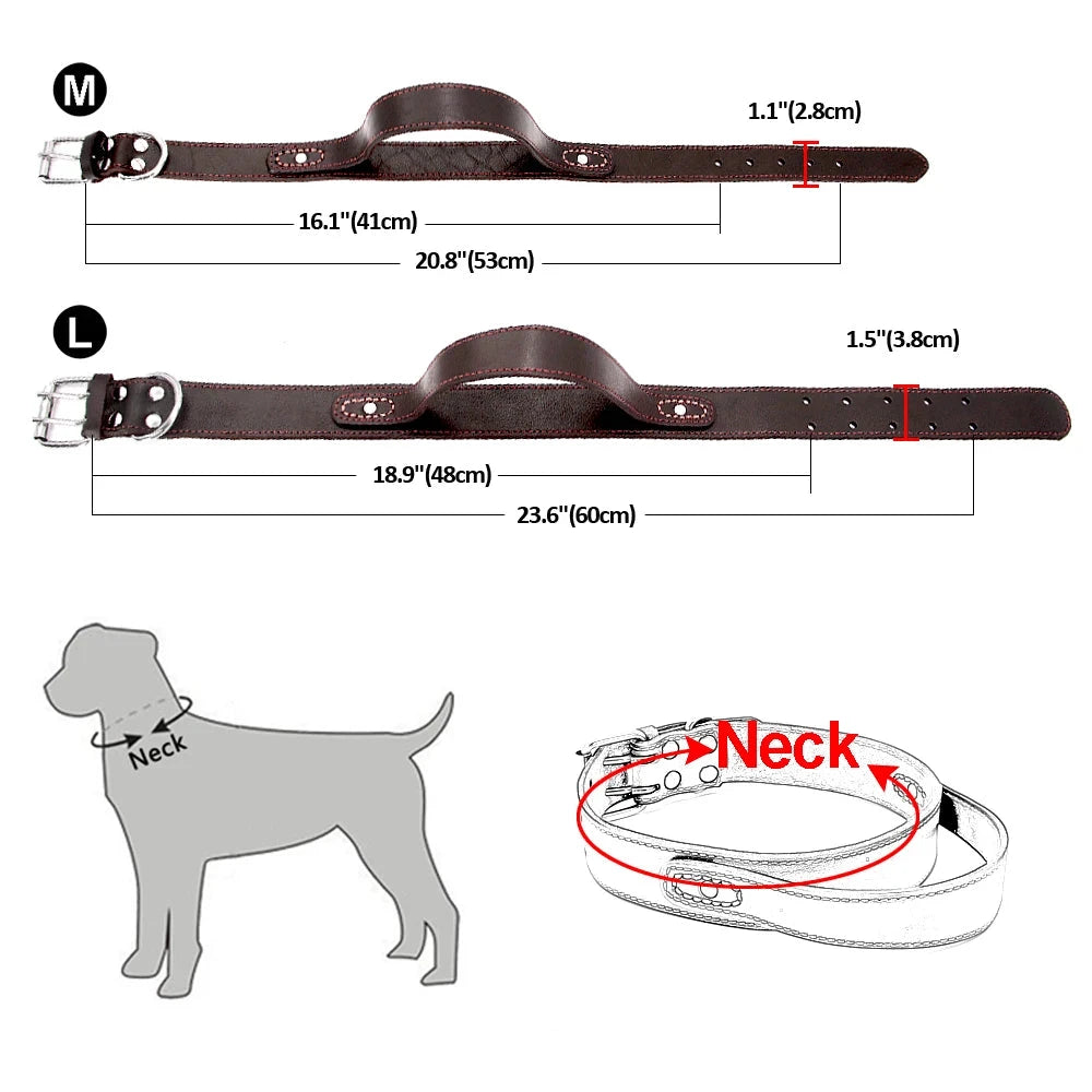 Collier chien cuir avec poignée