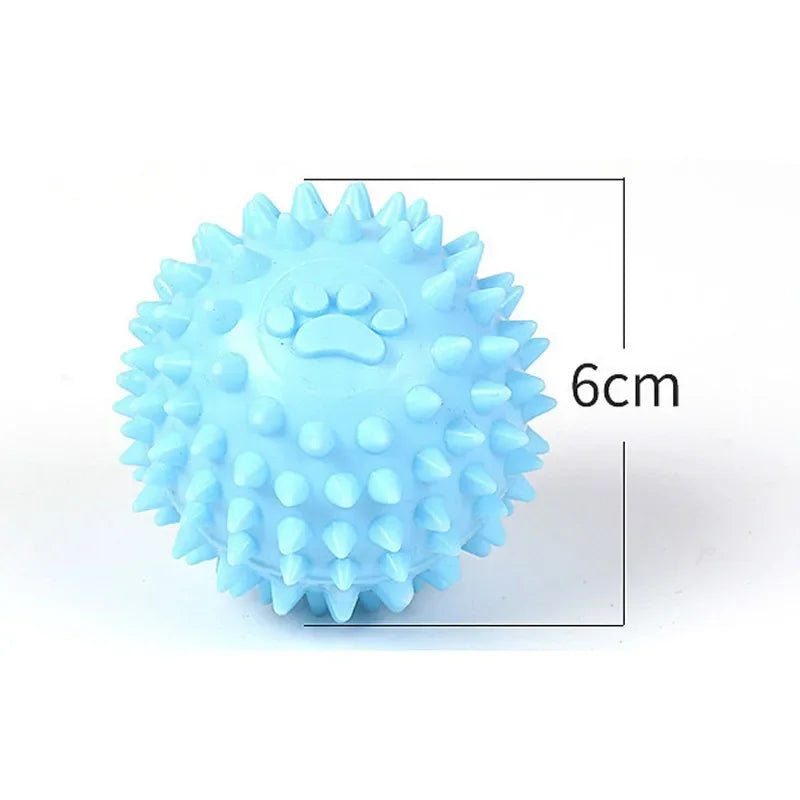 Balle en plastique pour chien