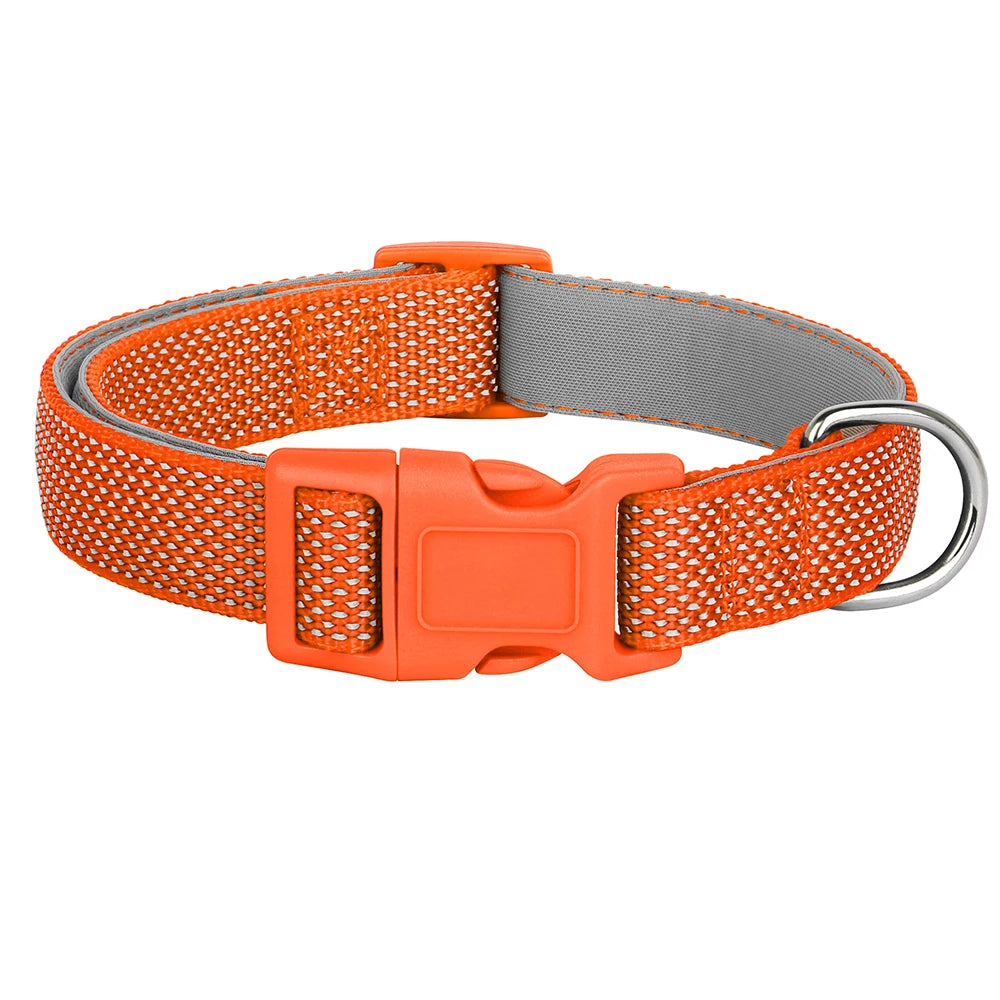 Collier reglable chiot