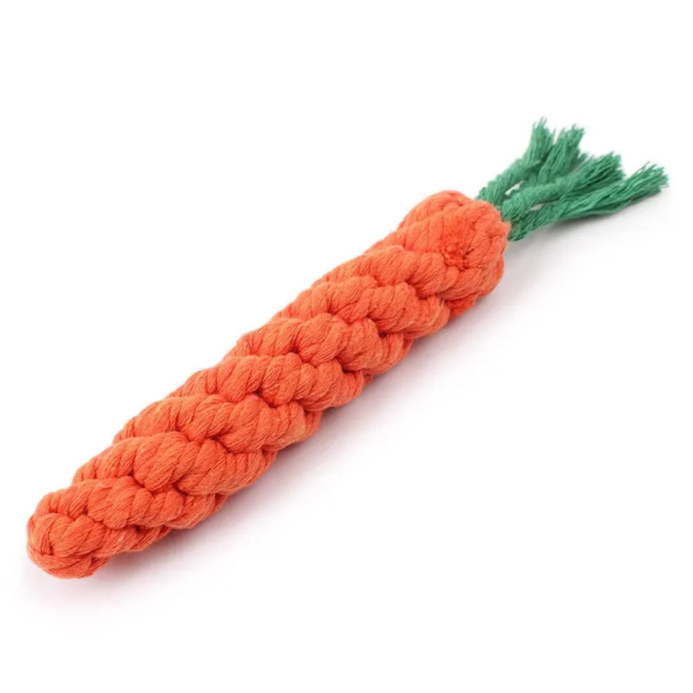 Jouet indestructible pour petit chien