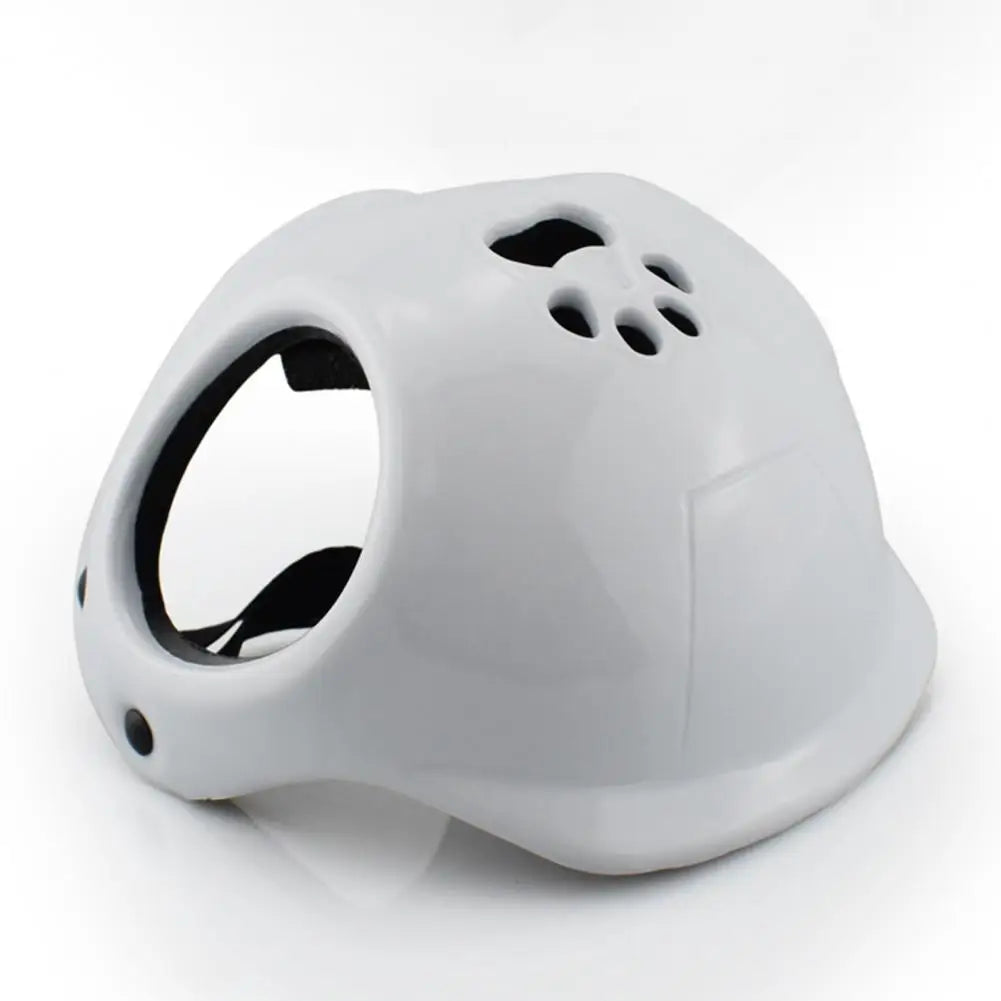 Casque de sécurité pour chien