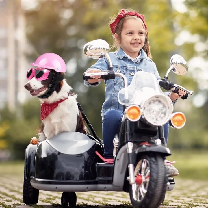 Casque chien pour side car