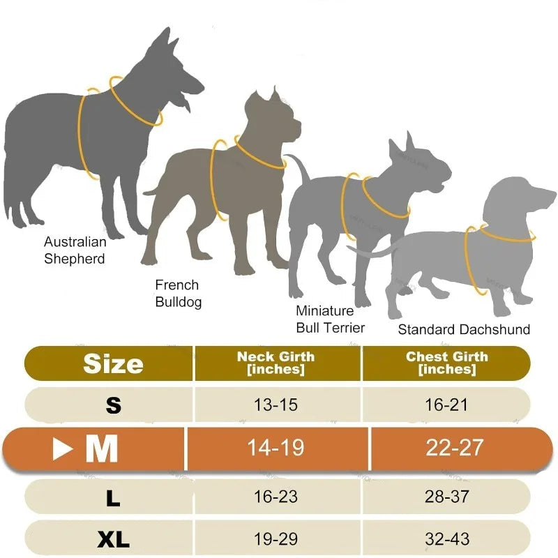 Harnais lumineux chien