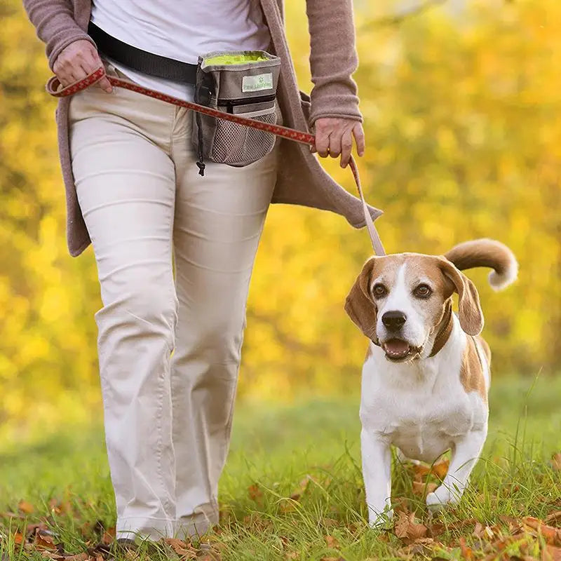 Sac transport croquette chien
