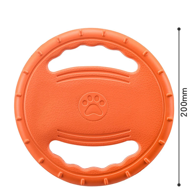 Frisbee chien plage
