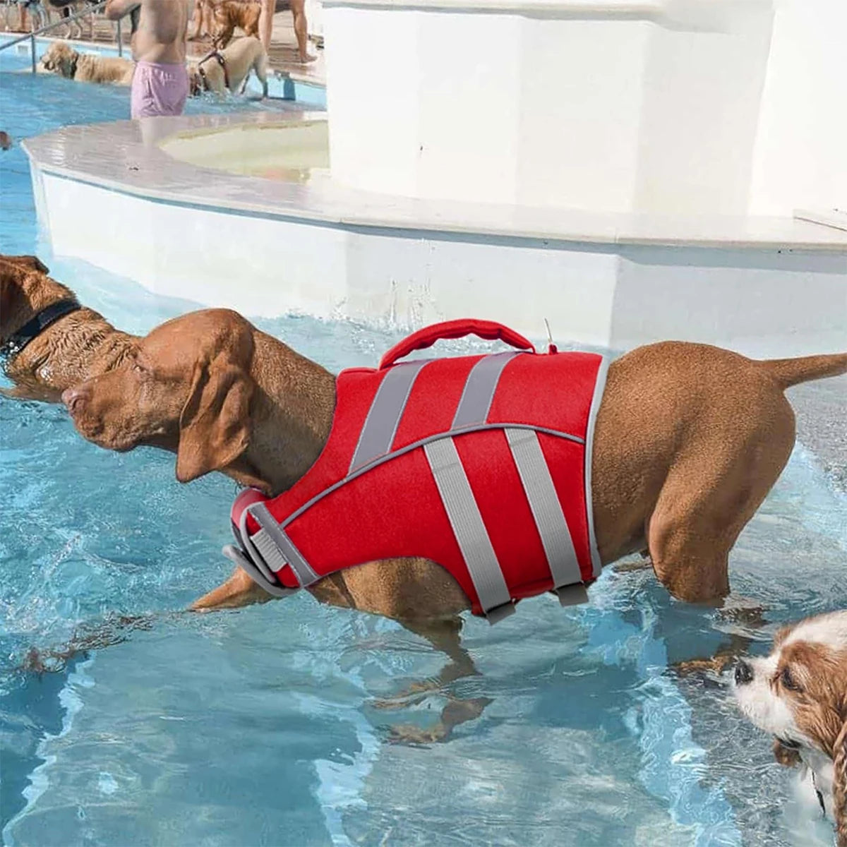 Veste de flottaison pour chien