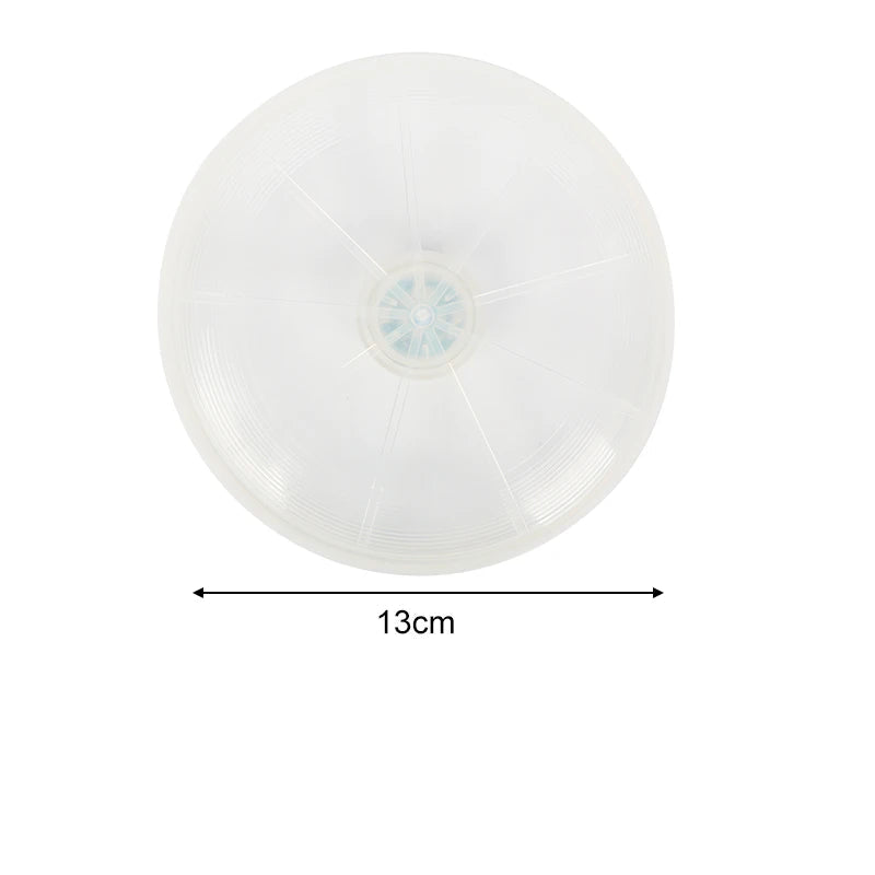 Frisbee lumineux chien