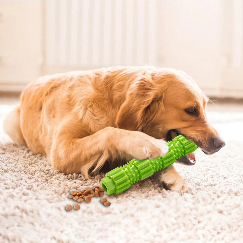 Jouet à mâcher chien indestructible