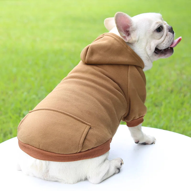 Pull avec poche pour chien