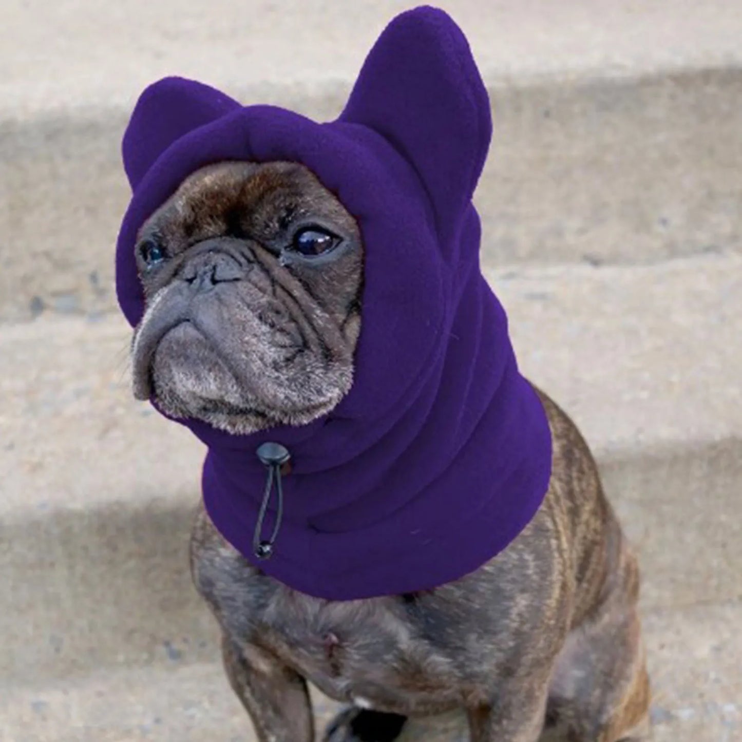 Bonnet chien oreille