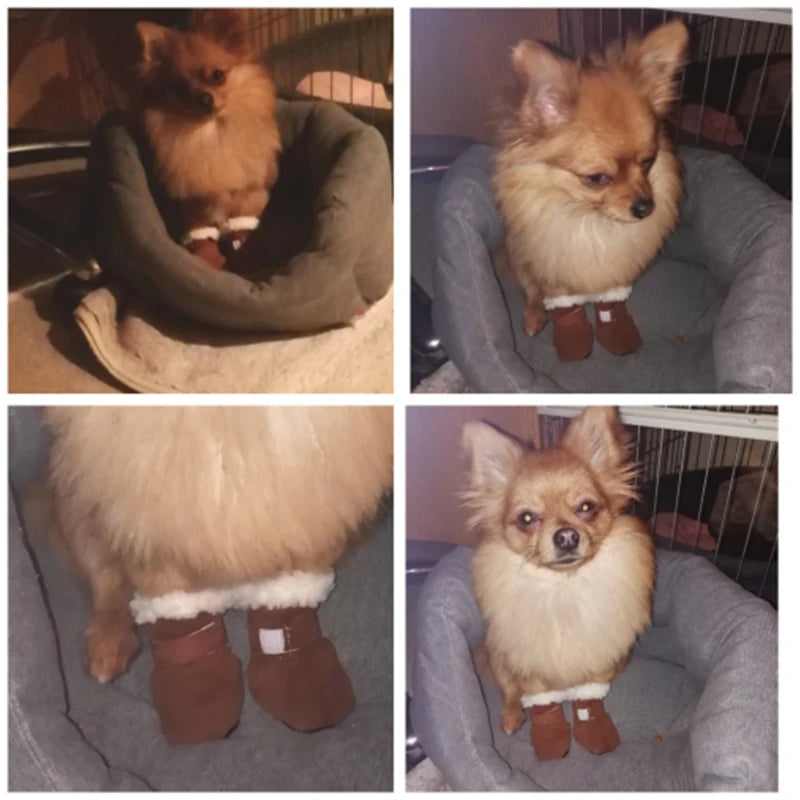 Botte pour chien neige