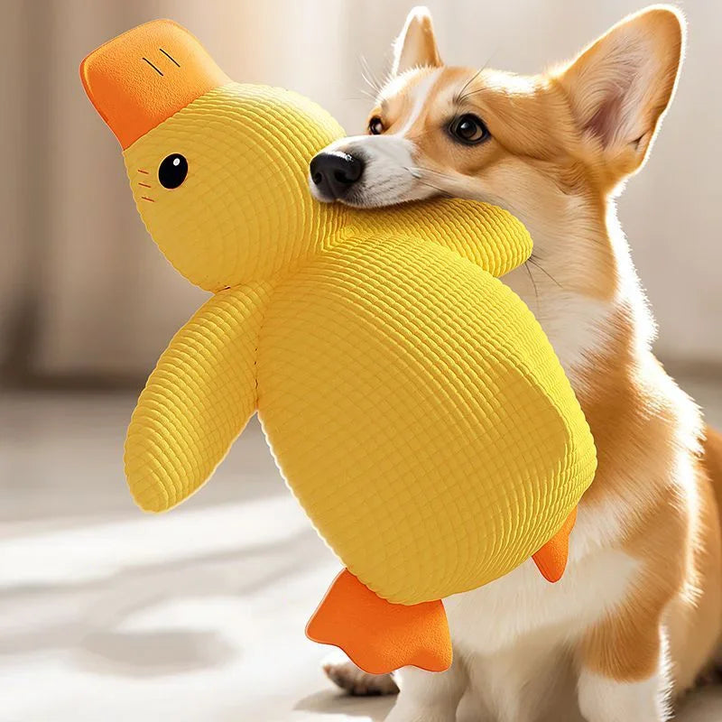 Jouet oie pour chien indestructible
