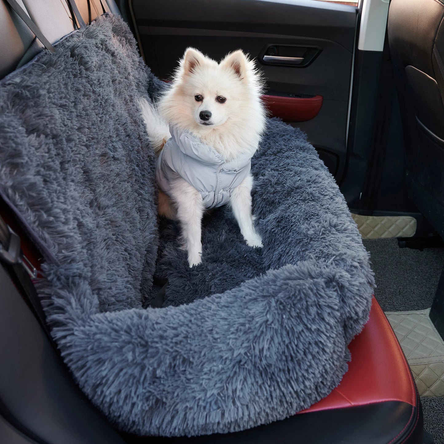 Siège auto chien grande taille