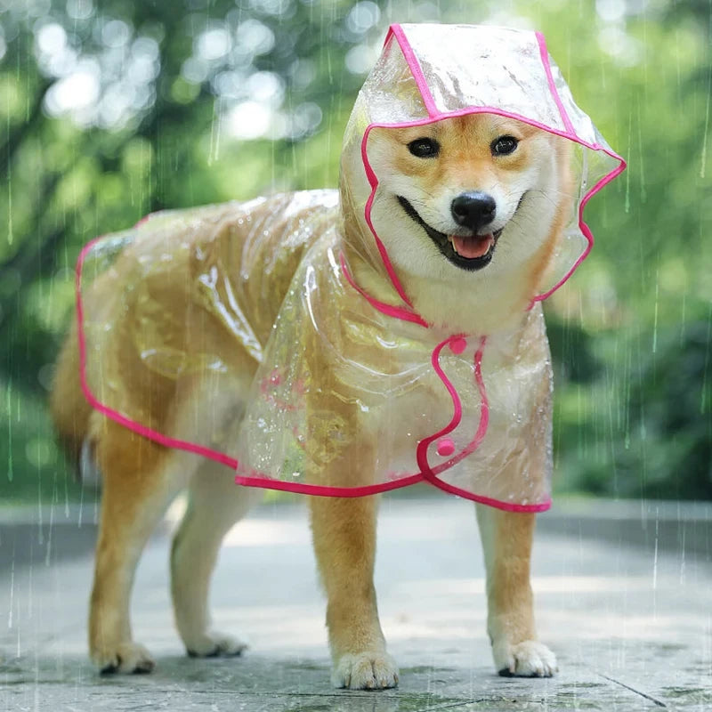 Veste de pluie pour chien