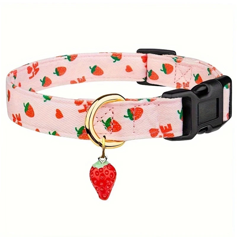 Collier chiot 3 mois