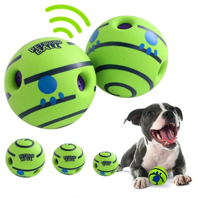 Balle sonore chien
