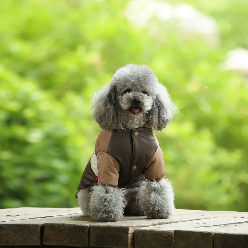 Doudoune chien luxe