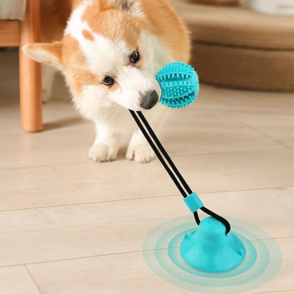 Jouet chien ventouse corde