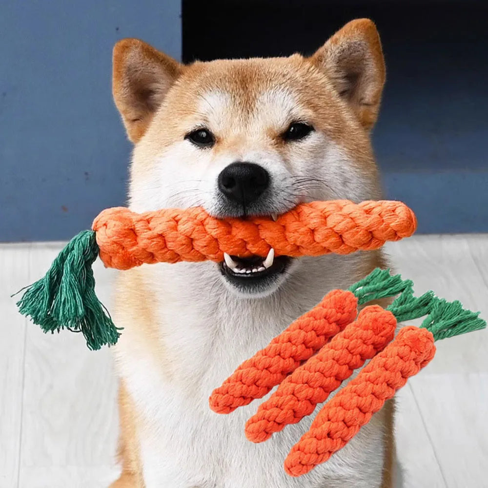 Jouet indestructible pour petit chien