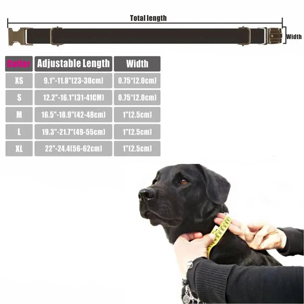 Collier chien ecossais