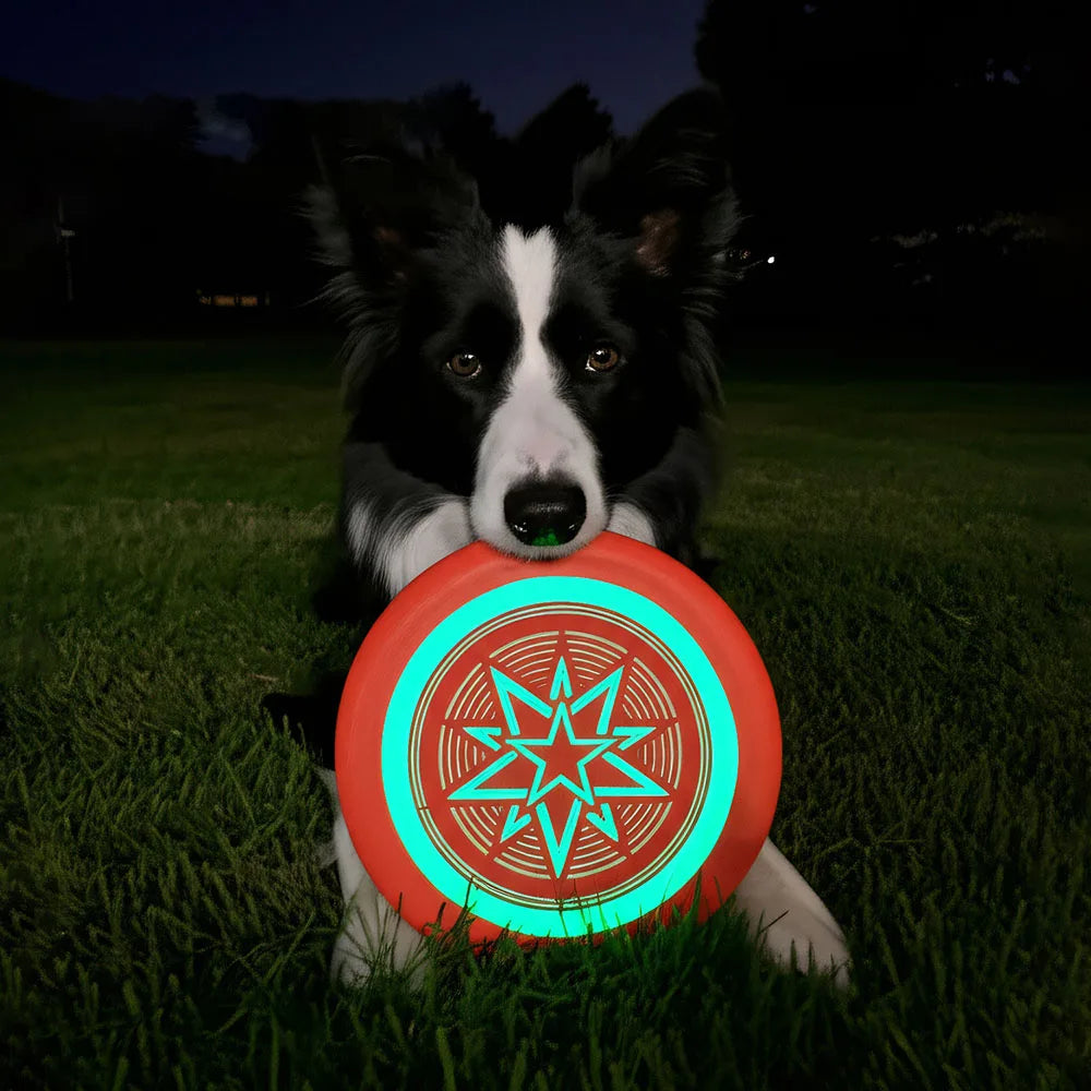 Frisbee flexible pour chien